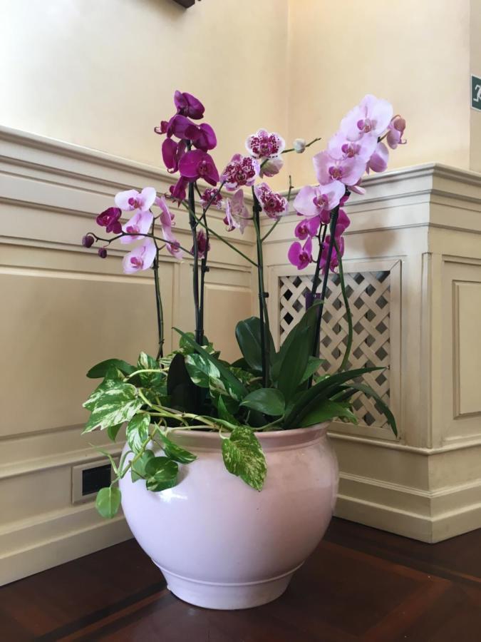 B&B Villino Margherita Рим Екстериор снимка